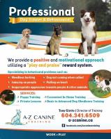 A-Z Canine Training image 4